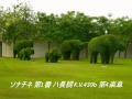 ソナチネ 第1番 ハ長調 K.V.439b 第4楽章（モーツァルト）