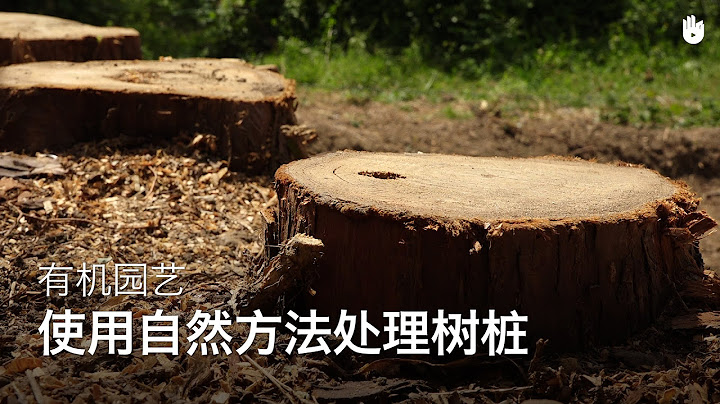 使用自然方法處理樹樁 | 樹木修整 - 天天要聞