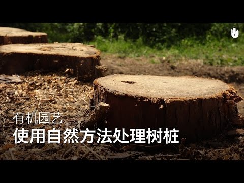 使用自然方法处理树桩 | 树木修整