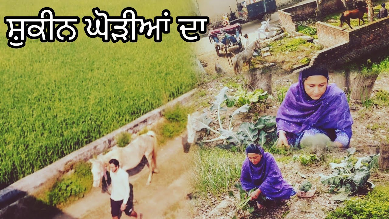 ਪਿੰਡ ਵਿੱਚ ਆਈਆਂ ਗੁਰੂ ਜੀ ਦੀਆਂ ਲਾਡਲੀਆਂ ਫੌਜਾਂ ਵੇਖਦੇ ਹੀ ਵੇਖਦੇ ਲੱਗ ਗਈ ਰੋਕਣ ਤੇ ਘਰ ਦੇ ਕੰਮ ਕੀਤੇ ਖ਼ਤਮ।