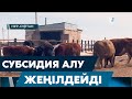 Субсидия алу жеңілдейді