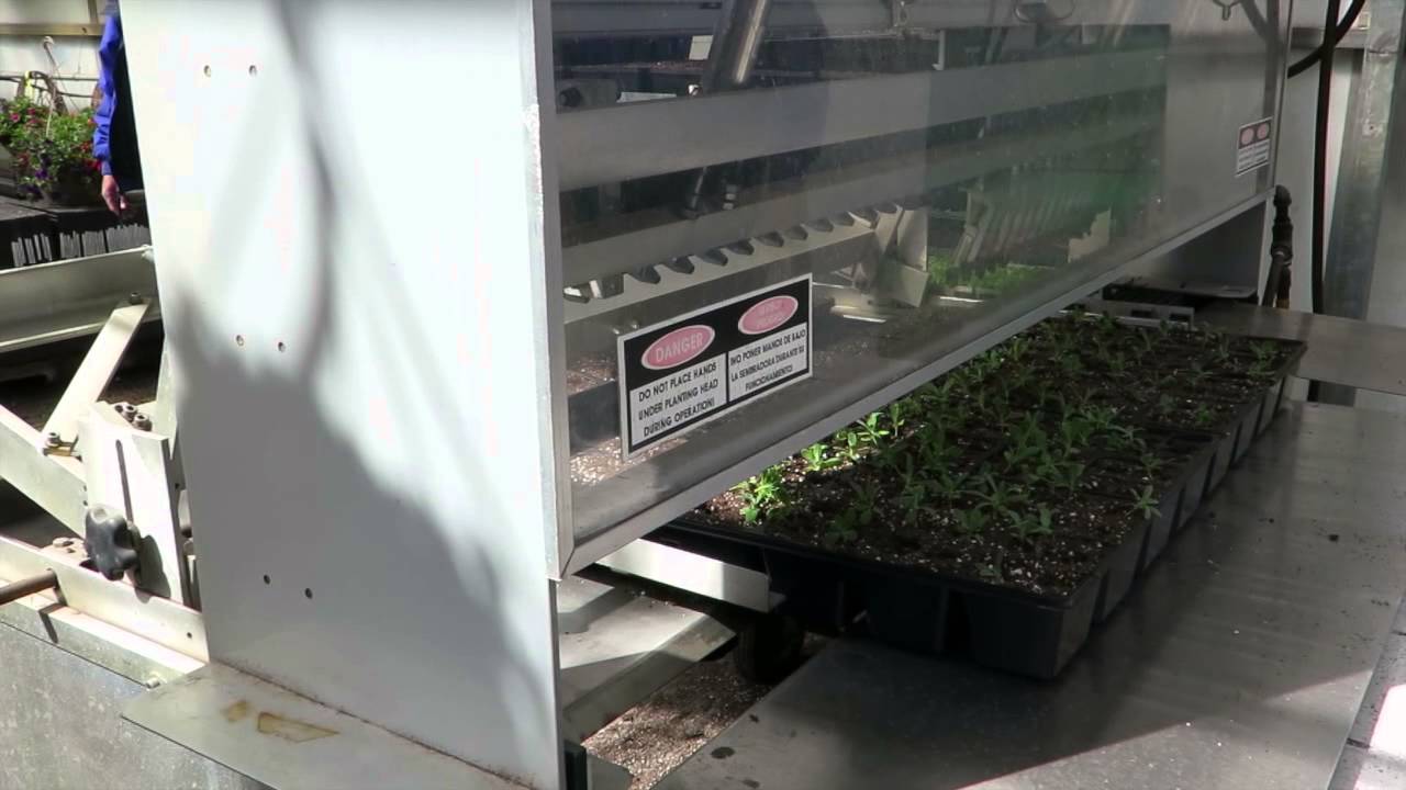 Wojo's Greenhouse, Ortonville, MI. Behind the scenes tour YouTube