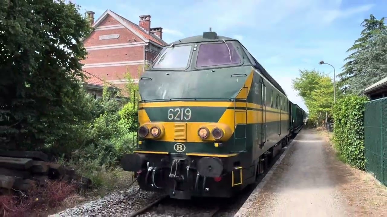 Scheldeland in stoom 2025