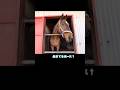 動いてる 4/4 #引退馬　#horse 　#なみあし会　#anima
