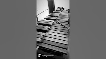 Auld Lang Syne. #mallets #xylophone #percussion #malletpercussion
