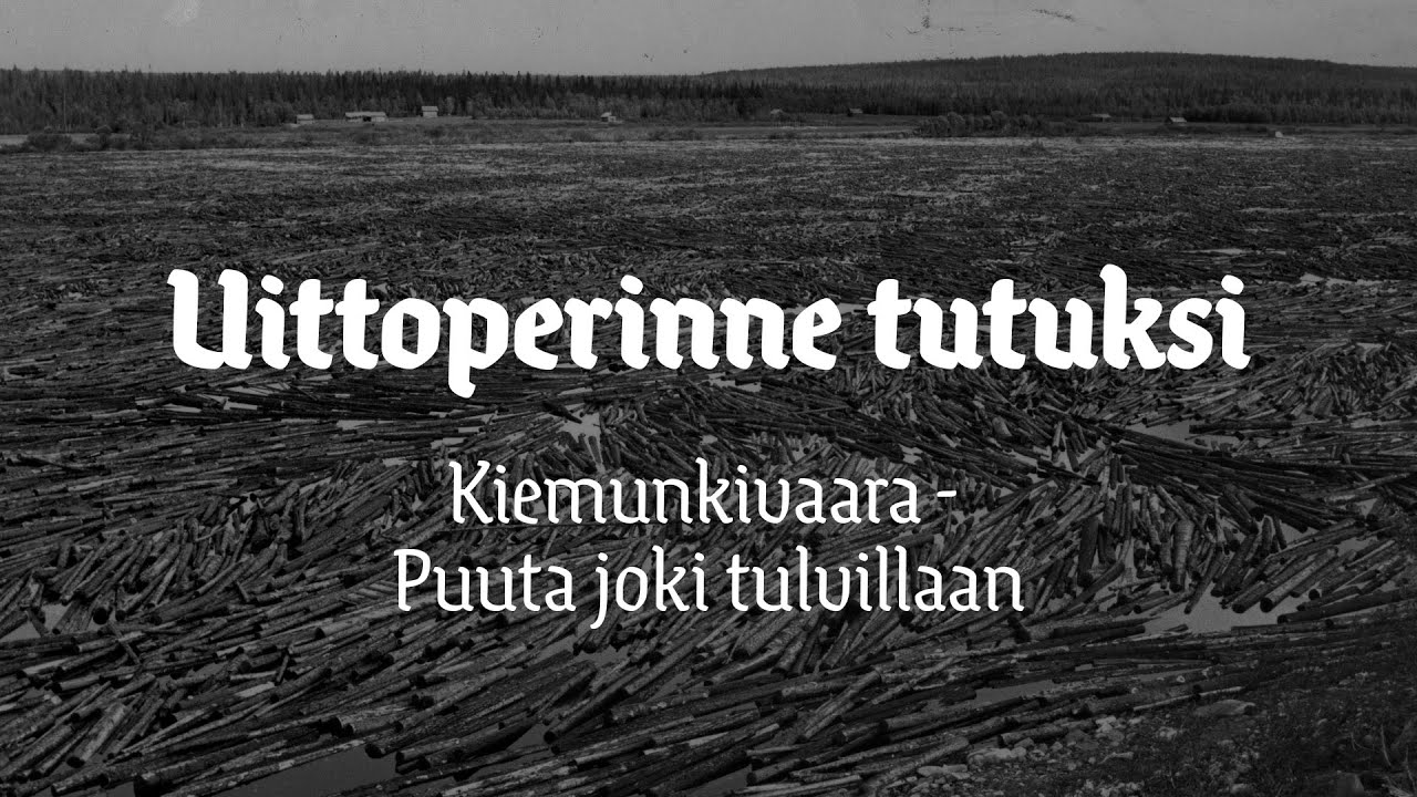 11. KIEMUNKIVAARA - Puuta joki tulvillaan