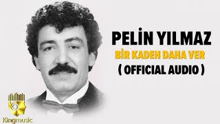 Pelin Yılmaz - Bir Kadeh Daha Ver -  Resimi