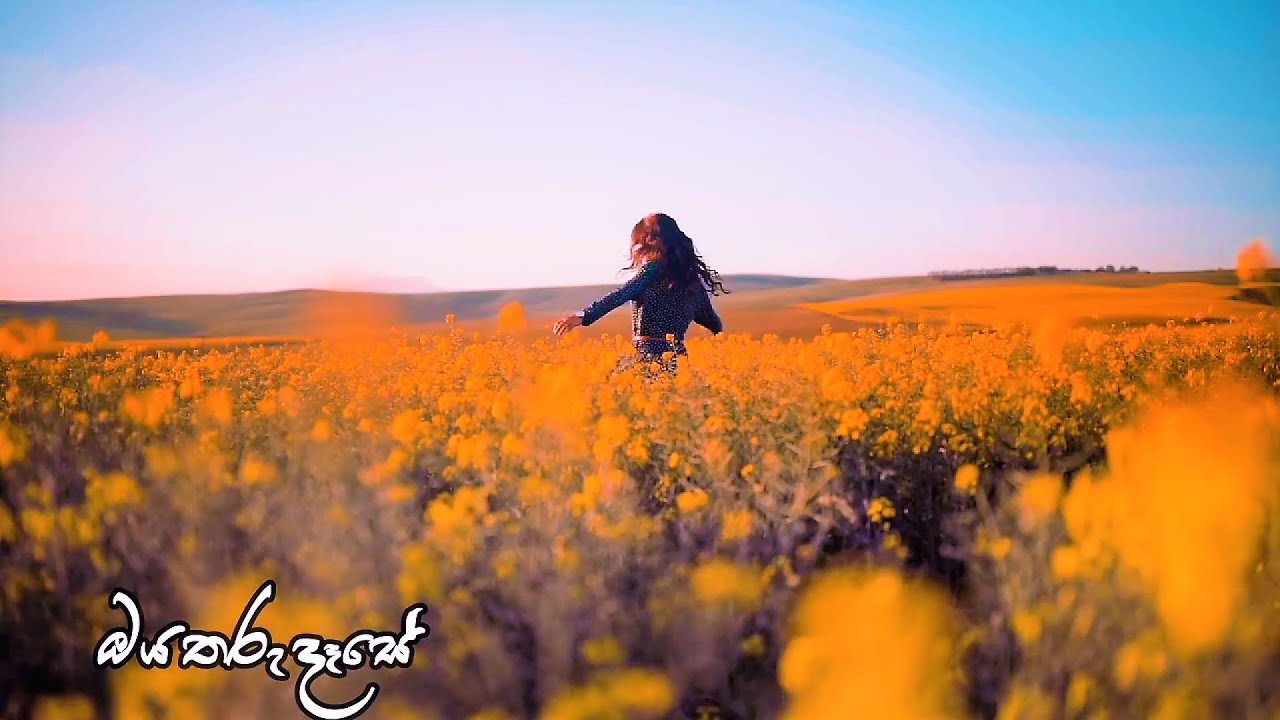 Oya Tharu Dase (ඔය තරු දෑසේ )(Lyrics Video) - Roshan Bandara |Thathnim Prodcutions