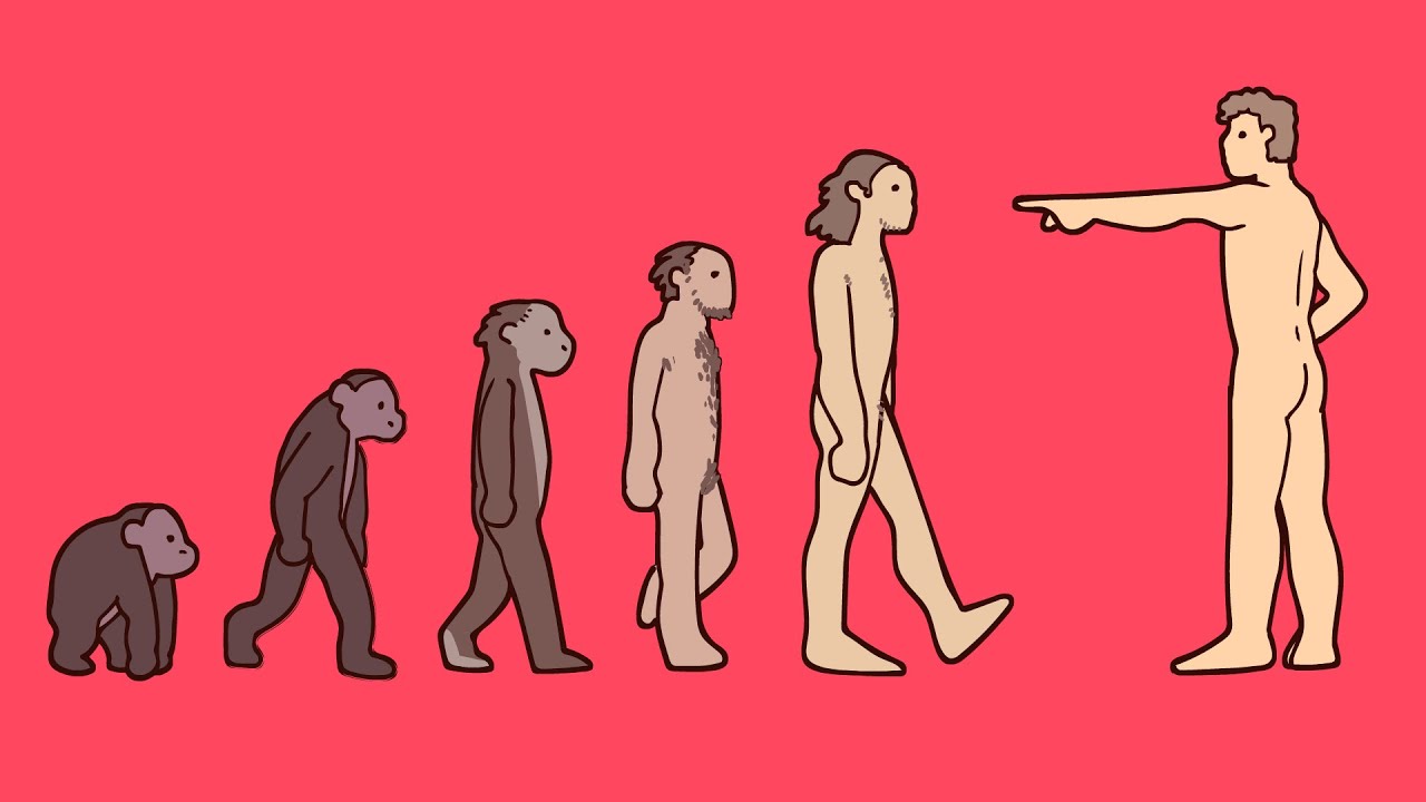 Reject Humanity Return to Monke Evolution Funny Chimp Meme