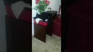 Celebrity Inside Natalia Grace's Apartment Part 2 | The Curious Case of Natalia Grace Net Worth