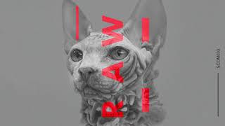Beatport: https://www.beatport.com/release/raw-tracks/2385534 VVAA ...