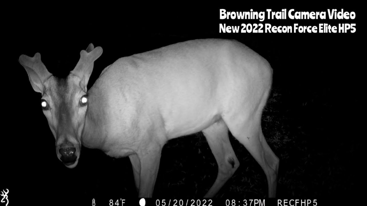 Browning’s New Recon Force Elite HP5 Trail Camera Video May 17-21, 2022