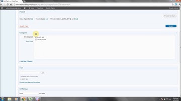 Wordpress Categories Tutorial -- Part 1/3