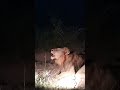 Male lion roars into the night | andBeyond Kirkman&#39;s Kamp | WILDwatch