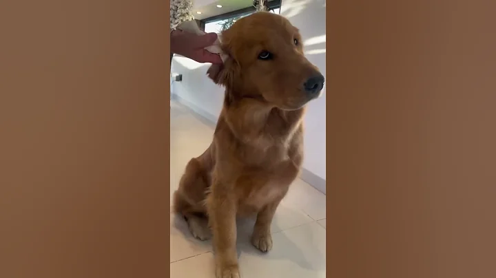 Oh my, you scared me! #Scared #Surprised #Exclamation