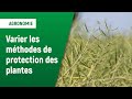 Varier les mthodes de protection des plantes  axral