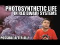 Alien Life Could Use Photosynthesis In Red Dwarf Systems After All