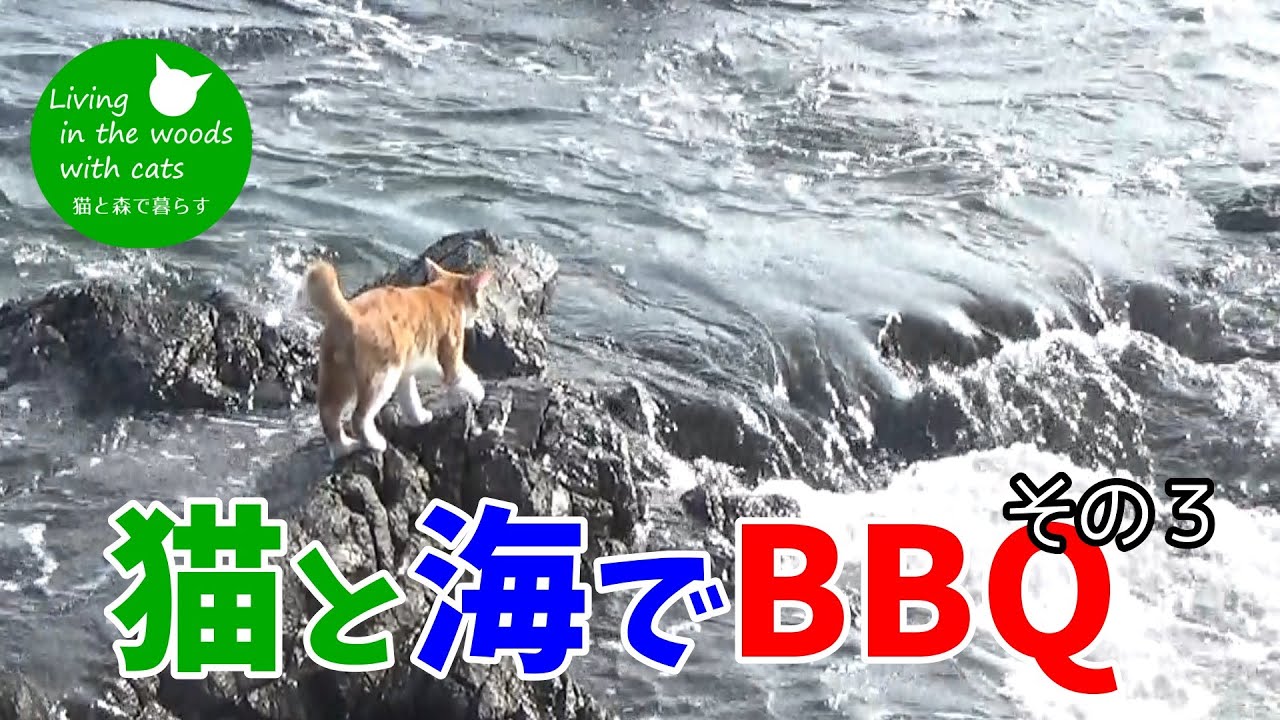 3匹の猫と海でBBQ（その3）Barbecue with three cats at sea (Part 3) YouTube