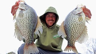 BRIDGE Fishing For GIANT CRAPPIE!! (THEYRE LOADED) by Fishing with Nordbye 5,172 views 3 months ago 11 minutes, 49 seconds