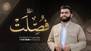 سورة فصلت كاملة   بيشةوا قادر الکردي   Surah Fussilat   Peshawa Kurdi