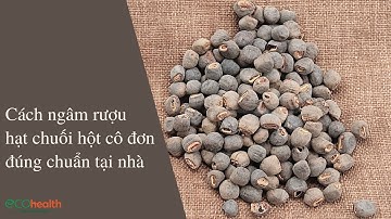 Cách ngâm rượu hạt chuối hột cô đơn đúng chuẩn tại nhà