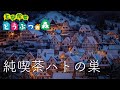 【とびだせどうぶつの森 bgm】純喫茶ハトの巣 ピアノ1時間！作業用 勉強用 睡眠用BGM / Animal Crossing：New leaf " The Roost " Piano【ピアノ演奏】