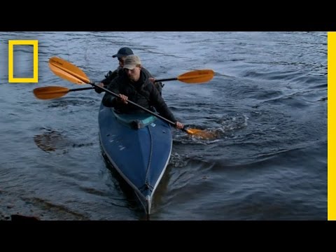 Bear Necessities | National Geographic