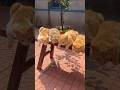 Funny and cute cat videos to make your day better 😺❤️