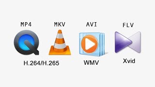 avi vs mp4 vs mkv - wmv vs h.264 vs h.265 vs xvid - best video format codec, container