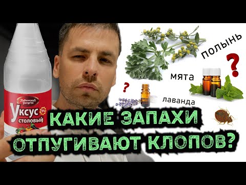 Видео: Что такое желтая змея?