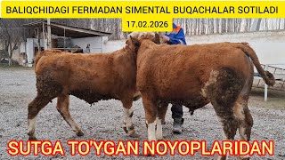FERMADAN SIMENTAL BUQACHALAR SOTILADI@Hikmatillo_uz 