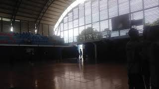 Rottweder Vs Tierra Santa Minibasket