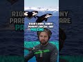 Orcas' Dietary Dilemma: The Picky Eaters of the Sea - Joe Rogan &amp; Forrest Galante #shorts