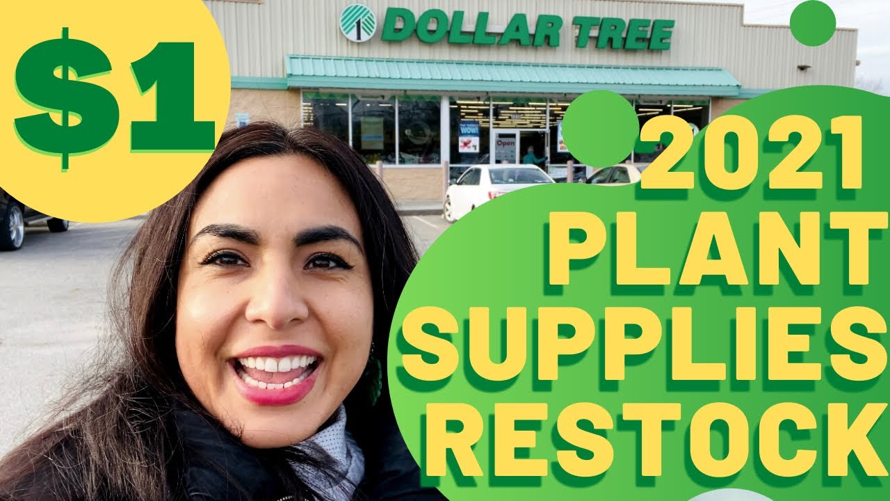 Dollar Tree 1 or less amazing finds for the Plant Lovers! Cheap Ideas