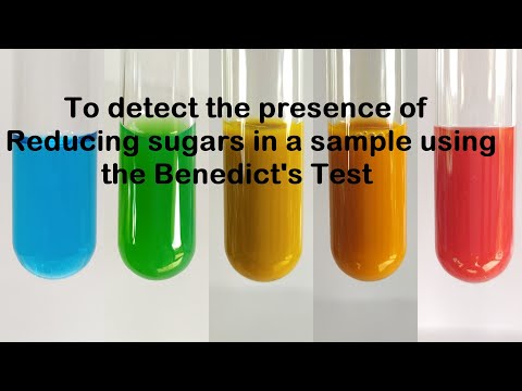 Benedict&rsquo;s Test for Reducing Sugars | Urine Glucose Test | Benedict&rsquo;s test for Glucose