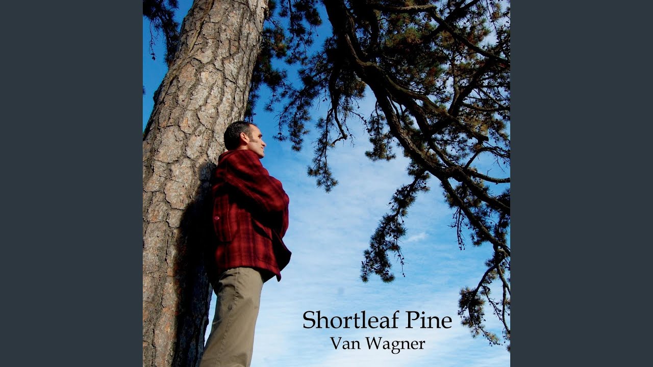 Watch Shortleaf Pine on YouTube Watch Shortleaf Pine on YouTube