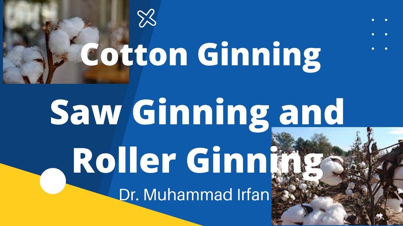 Cotton Picking and Cotton Ginning process Saw Ginning and Roller