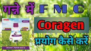 गन्ने में || FMC Coragen || का प्रयोग कब और कैसे करे | How to use FMC Coragen in Sugarcane |