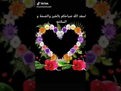 صباح خير صباح ورد وياسمين وعنبر وكل