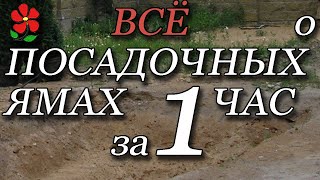 Всё о посадочных ямах и процессе посадке растений в грунт. Полная инструкция с разъяснениями.