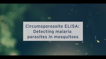csELISA Malaria Detection Training Video