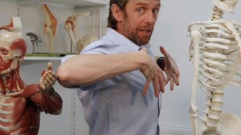 Intercostale spieren