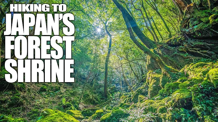 Hiking to Japan's Hidden Forest Shrine | Japan 4K - DayDayNews