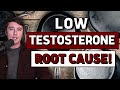 How i fixed my low free testosterone high shbg  iron overload