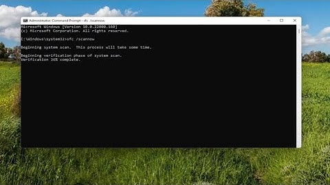 Fix .Exe Has Stopped Working Windows 11 - Windows Explorer Has Stopped Working