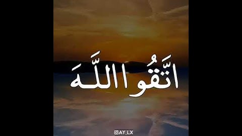 تلاوة الشيخ نبيل علي العوضي