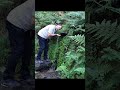 woodland natural spring water