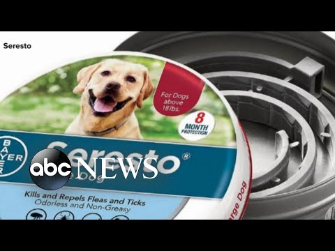 Dog collar linked to thousands of pet deaths