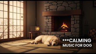 24/7 Dog Calming Music for Separation Anxiety : Help Your Pet Relax and Sleep Soundly 🐕‍🦺 screenshot 1