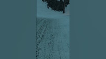 NAH SQUIDWARD TRIPPIN 😭